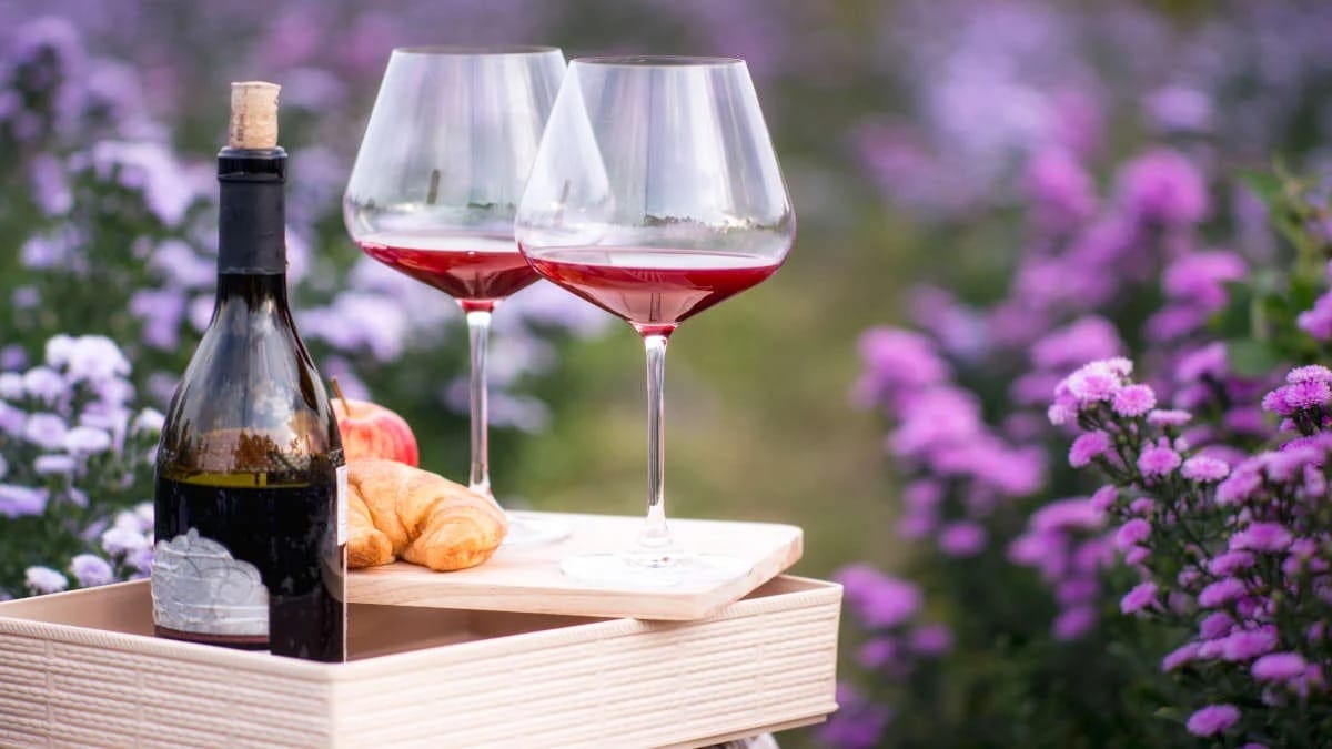 Explore the Best Sacramento Wineries: Start with Silt Wine Company