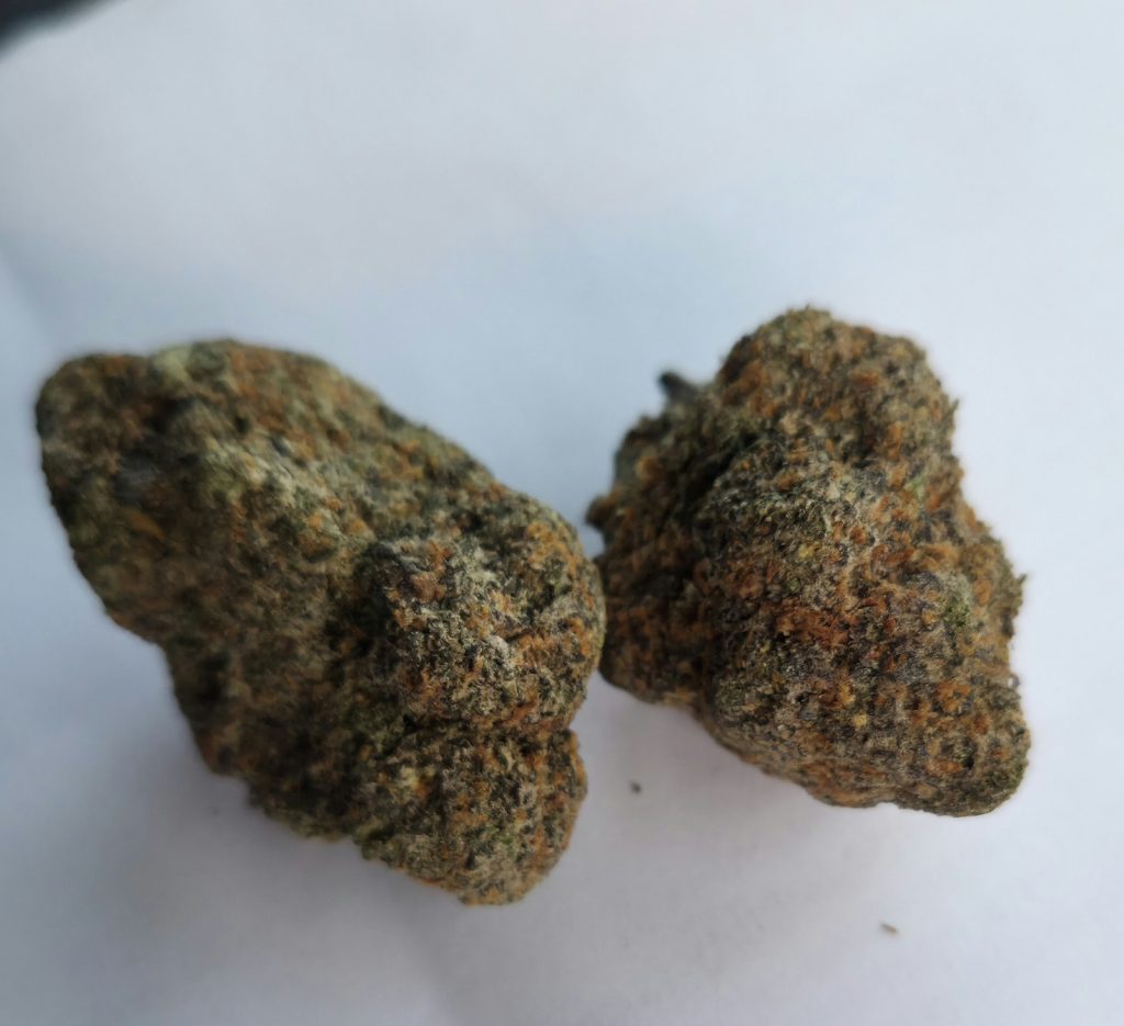Miami runtz strain Experience – What First-Time Users Should Expect