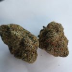 Miami runtz strain Experience – What First-Time Users Should Expect