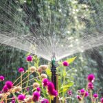 Expert Drainage Services in Weatherford , TX Designed for Lasting Landscape Success