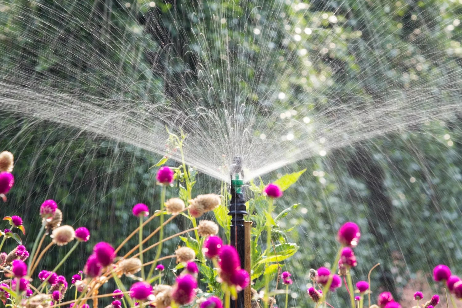 Expert Drainage Services in Weatherford , TX Designed for Lasting Landscape Success